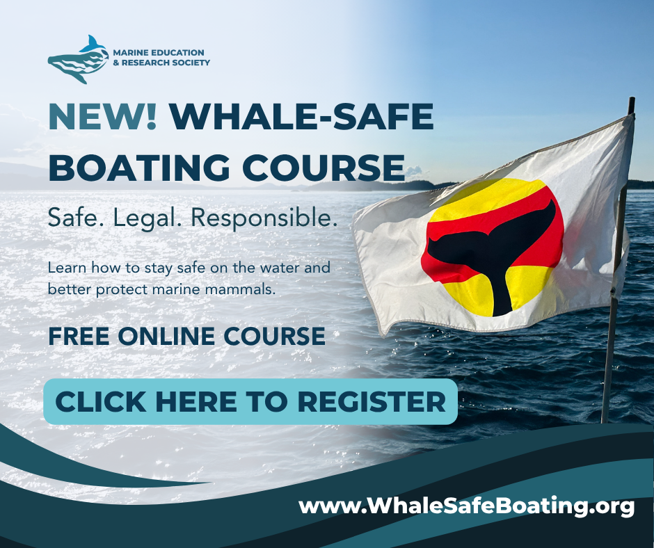boatercoursepopup